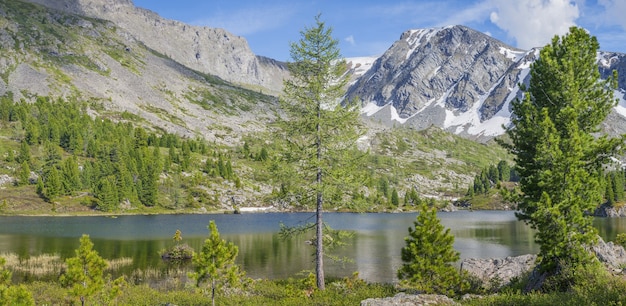 Na margem de um lago de montanha em um dia de verão