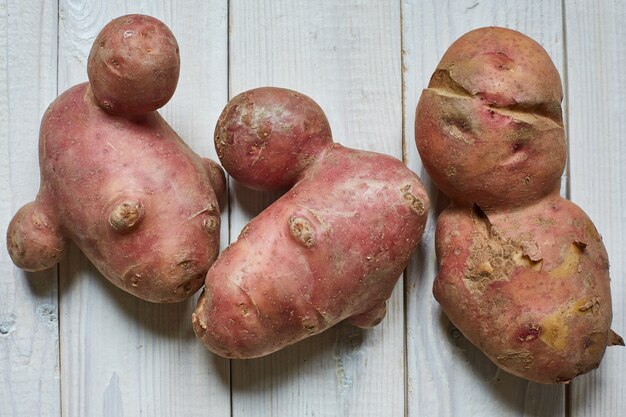 Na moda feio orgânico siamese batatas siameses do jardim em casa. Conceito feio de resíduos vegetais ou alimentos.