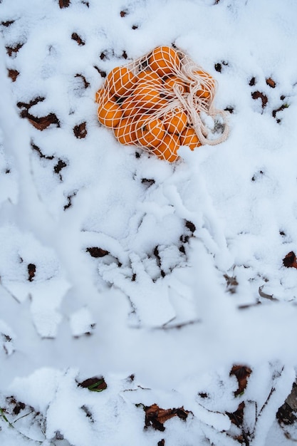 Na neve, as tangerinas estão em um saco de vime confortavelmente acomodado em sua bolsa
