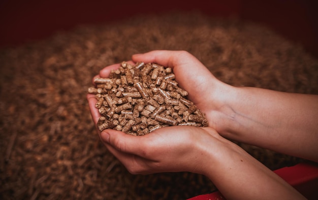 Nachhaltiges und erneuerbares Bioenergiekonzept Holzpellets in den Händen