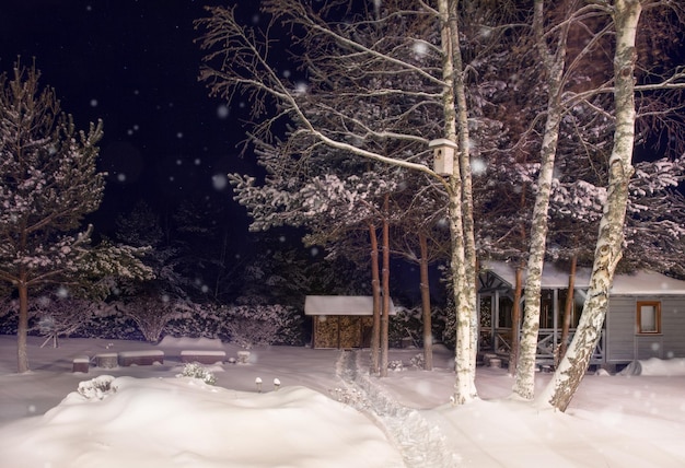 Nacht im Wintergarten Verschneiter Winterhof