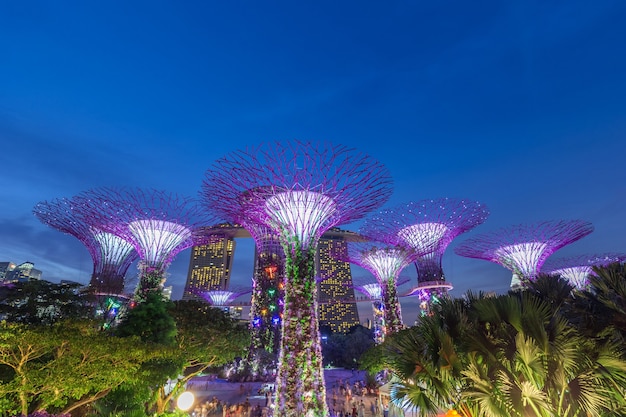 Nachtansicht des Super-Baumhains in der Garten-Rhapsodie (OCBC-Licht- und Ton-Show) an den Gärten durch die Bucht in Singapur.