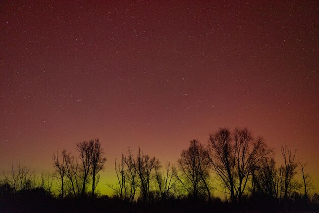 Nachthimmel mit grüner und roter Farbe der Nordlichter Aurora-Lichter beleuchten den Himmel mit lebendigen Farben