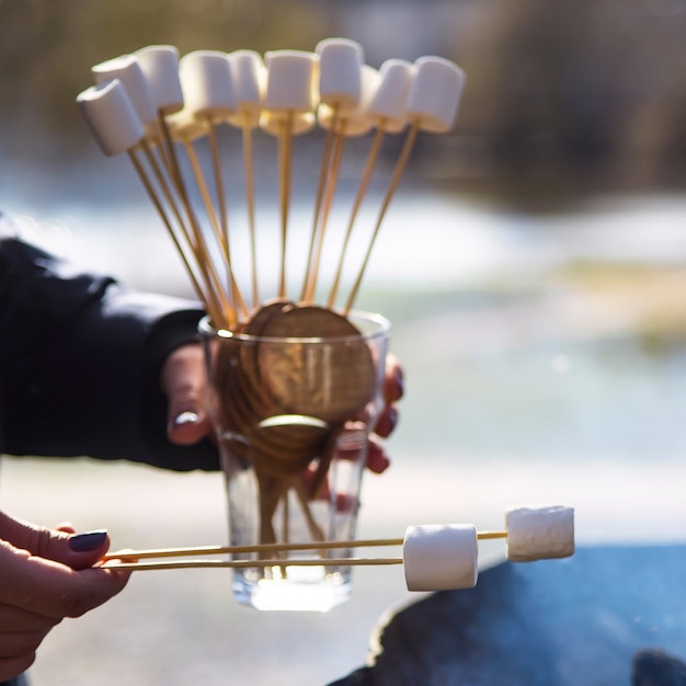 Nachtisch mit Eibischen durch das Feuer an einem Picknick in der Natur kochen