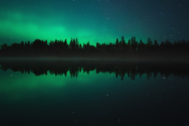 Nachtlandschaft. Aurora borealis spiegelt sich in einem Waldsee