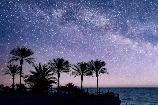 Nachtlandschaft Palmen das Rote Meer vor dem Hintergrund des Nachthimmels mit Sternen und der Milchstraße Sinai-Halbinsel