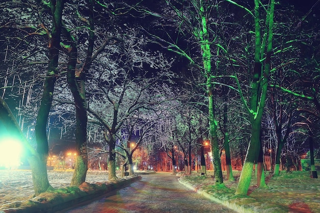 Nachtstadt Winter / Landschaft im Januar Lichter der Stadt für Feiertage dekoriert, Bäume in einem Stadtpark, Winterlandschaft