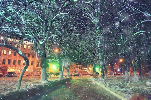 Nachtstadt Winter / Landschaft im Januar Lichter der Stadt für Feiertage dekoriert, Bäume in einem Stadtpark, Winterlandschaft