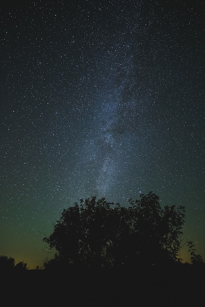 Nachtsternenhimmel für den Hintergrund.