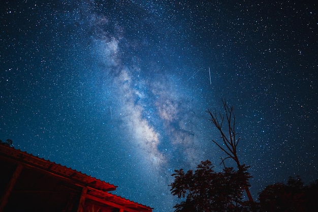 Nachtszene Milchstraße HintergrundBäume gegen Himmel bei Nacht