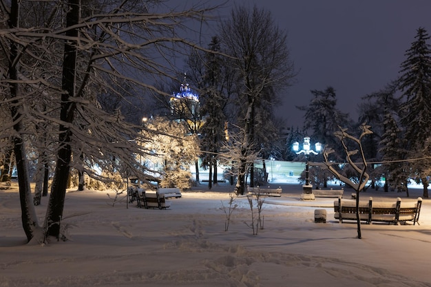 Nachtwinterpark in Lemberg, Ukraine