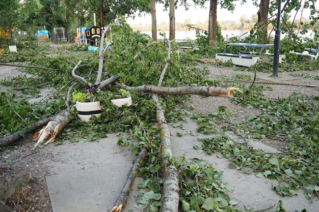 Nachwirkungen des Hurrikans 19. Juli 2023 Strand Sremska Mitrovica Serbien Gebrochene Bäume auf den Straßen Unordnung gebrochene Zweige gebogenen Stamm Chips und Müll Ausnahmezustand nach einem katastrophalen Sturm