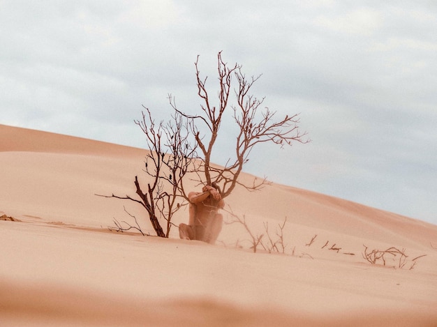 Nacker Baum auf einer Sanddün in der Wüste gegen den Himmel