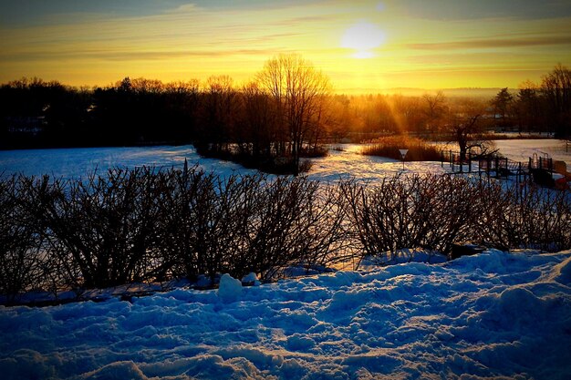 Foto nackte bäume auf einem mit schnee bedeckten feld bei sonnenuntergang