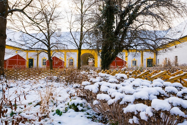 Nackte Bäume auf einem mit Schnee bedeckten Feld neben Häusern