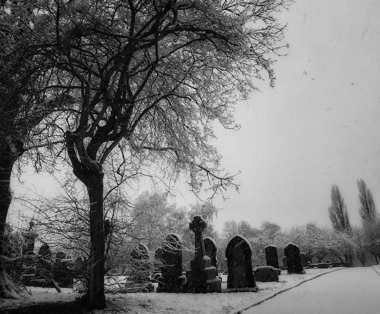 Foto nackte bäume auf einer mit schnee bedeckten landschaft auf einem friedhof