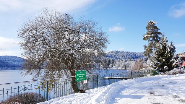 Nackte Bäume auf schneebedeckter Landschaft gegen den Himmel