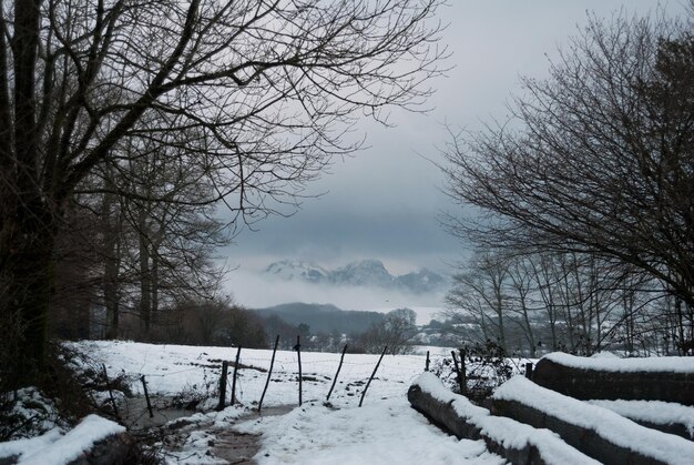 Nackte Bäume auf schneebedeckter Landschaft gegen den Himmel