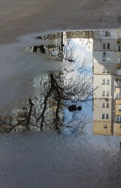 Nackte Bäume und Wohngebäude im Spiegelbild einer Pfütze auf der Straße