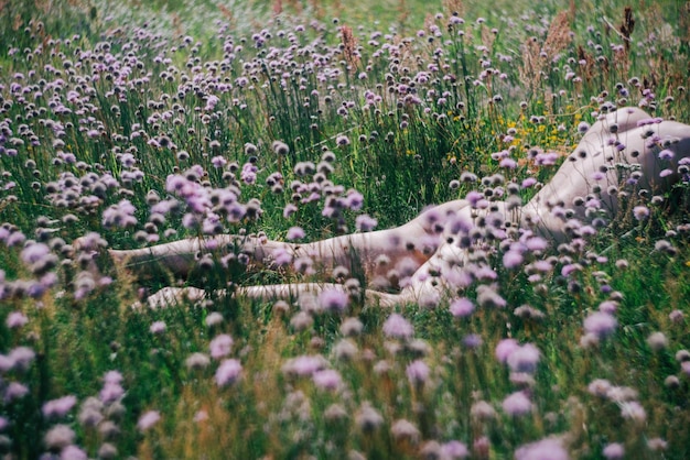 Nackte Person liegt inmitten von Blumen auf dem Feld