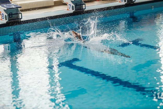 Un nadador buceando y salpicando en una piscina