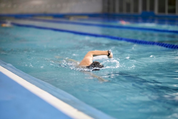 nadador en la piscina, salpicaduras de agua, bokeh, desenfoque. Nadador profesional, natación de carrera, piscina cubierta.