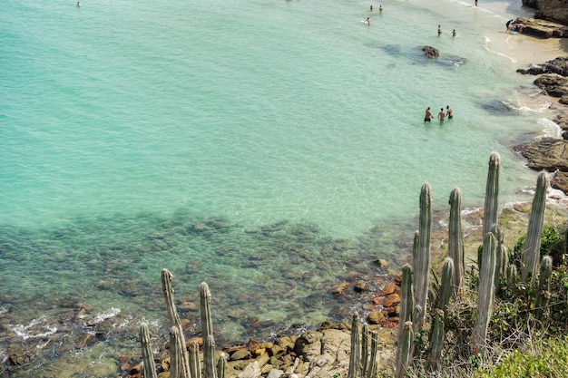 nadadores na bela praia das Conchas em Arraial do Cabo, Brasil, no dia de verão