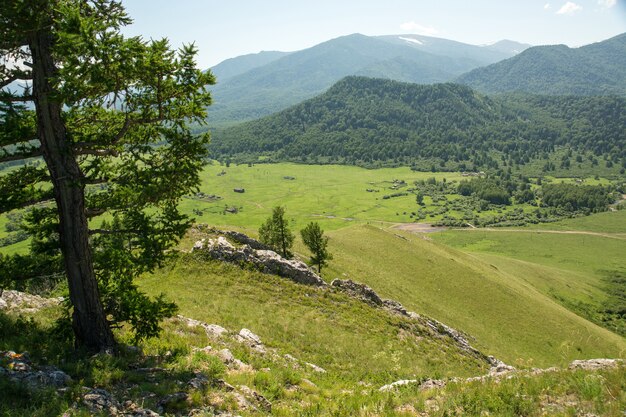 Nadelbaum auf grünem Hügel der Berge. Flüsse, Straßen und Dörfer. Grüne Landschaft.