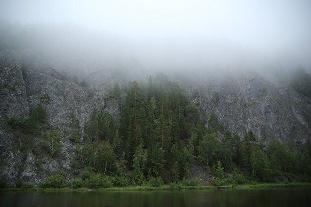 Nadelwald und Felsen am Flussufer im Morgennebel