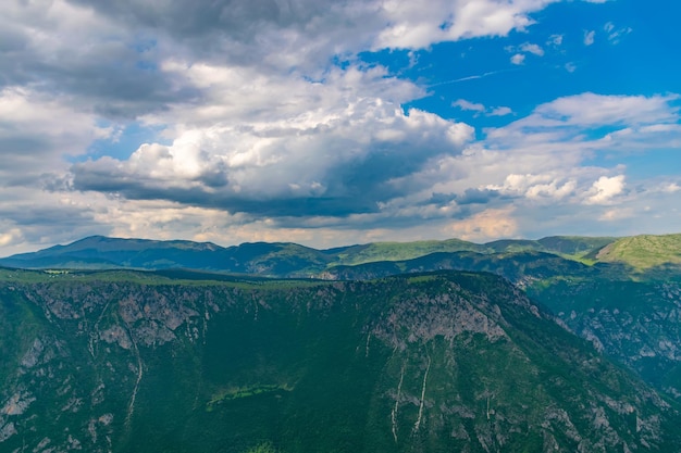 Nadelwald wächst am Hang des Canyons