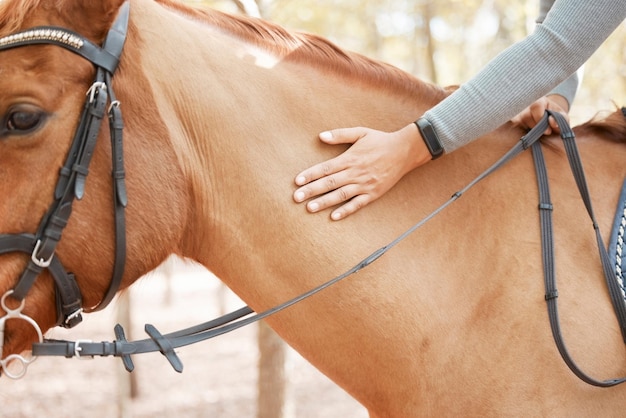 Nadie puede enseñar a montar tan bien como un caballo Foto de una mujer irreconocible montando su caballo afuera