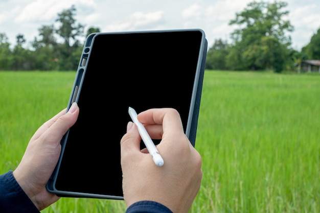 Foto nahansicht. landwirtschaft 4.0 ist der einsatz von technologie zur unterstützung der landwirtschaft beim anbau von reis