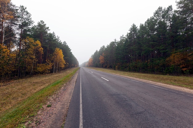 Nahaufnahme auf der Herbststraße