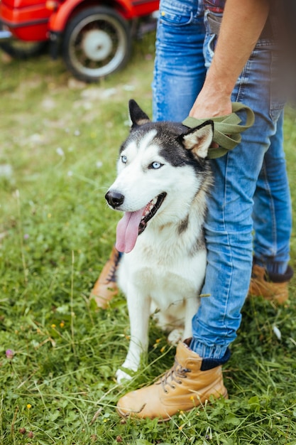 Nahaufnahme auf Mann mit Siberian Husky Hund im Freien