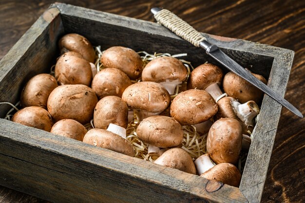 Nahaufnahme auf rohen braunen Champignonpilzen