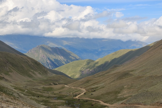 Nahaufnahme Bergszenen im Nationalpark Dombai, Kaukasus, Russland, Europa. Sommerlandschaft, Sonnenscheinwetter, dramatischer blauer Himmel und sonniger Tag