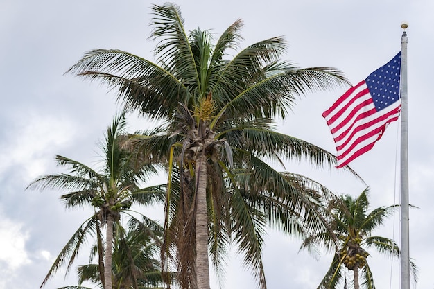 Nahaufnahme der amerikanischen Flagge und Palmen auf Hintergrund des blauen Himmels.