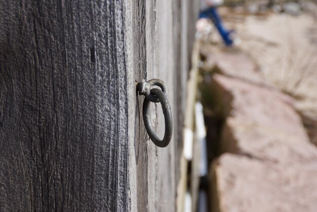 Foto nahaufnahme der anlage vor verschwommenem hintergrund