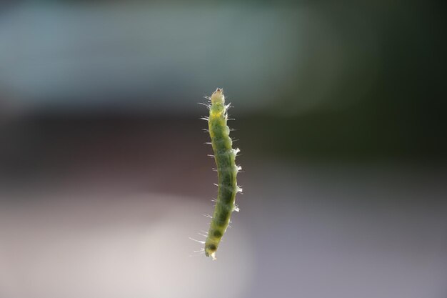 Foto nahaufnahme der anlage