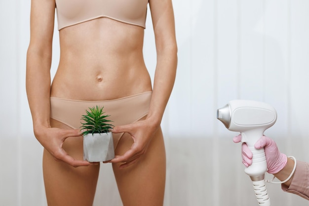 Foto nahaufnahme der bikinizone enthaarung haarentfernung witz laserepilation spaß frau hält einen kaktus