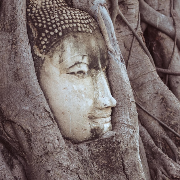 Foto nahaufnahme der buddha-statue