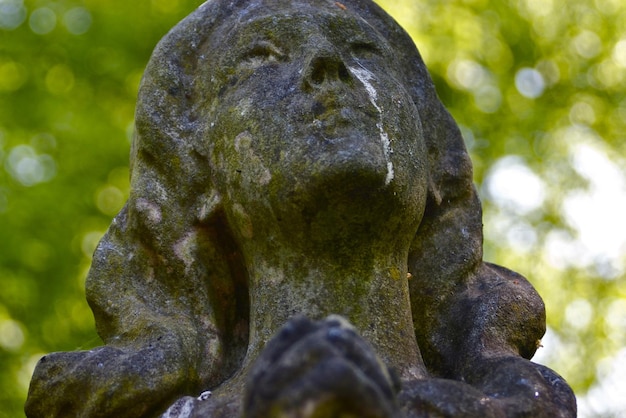 Nahaufnahme der Engelstatue auf dem Friedhof