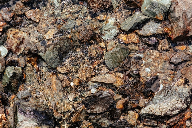 Nahaufnahme der farbenfrohen, schönen kleinen und großen Tapete „By the River Stones“.