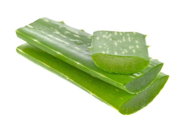 Nahaufnahme der frischen grünen Aloe Vera