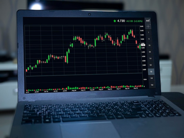 Nahaufnahme der Grafik im Laptop