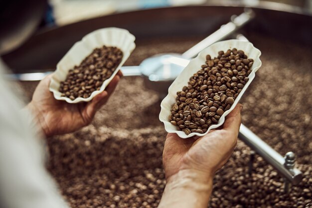 Nahaufnahme der Hände des jungen Mannes, die zwei Schüsseln mit braunen Arabica-Kaffeebohnen halten