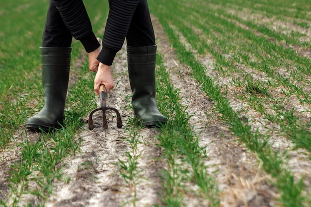 Nahaufnahme der Hände des Landwirts