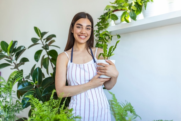 Nahaufnahme der Hausfrau, die Grünpflanze hält und die Kamera mit erfreutem Lächeln betrachtet, Blumentopf hält, liebt Gartenarbeit und Natur. Innenaufnahme