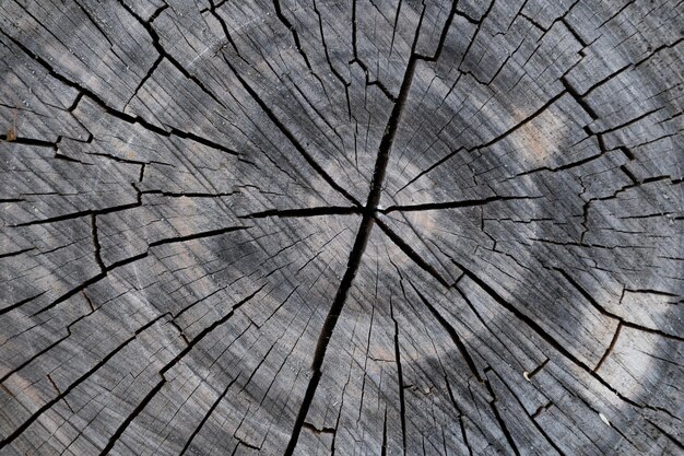 Nahaufnahme der Holzstruktur mit Naturfaserplattenmaterial für den Bau