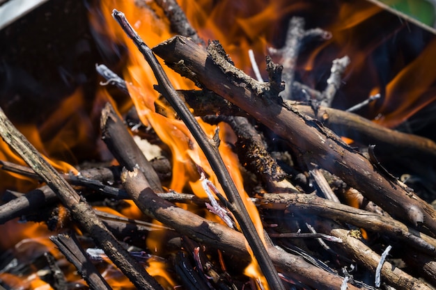 Nahaufnahme der im Feuer brennenden Zweige